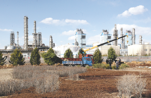 大风车足球计划单